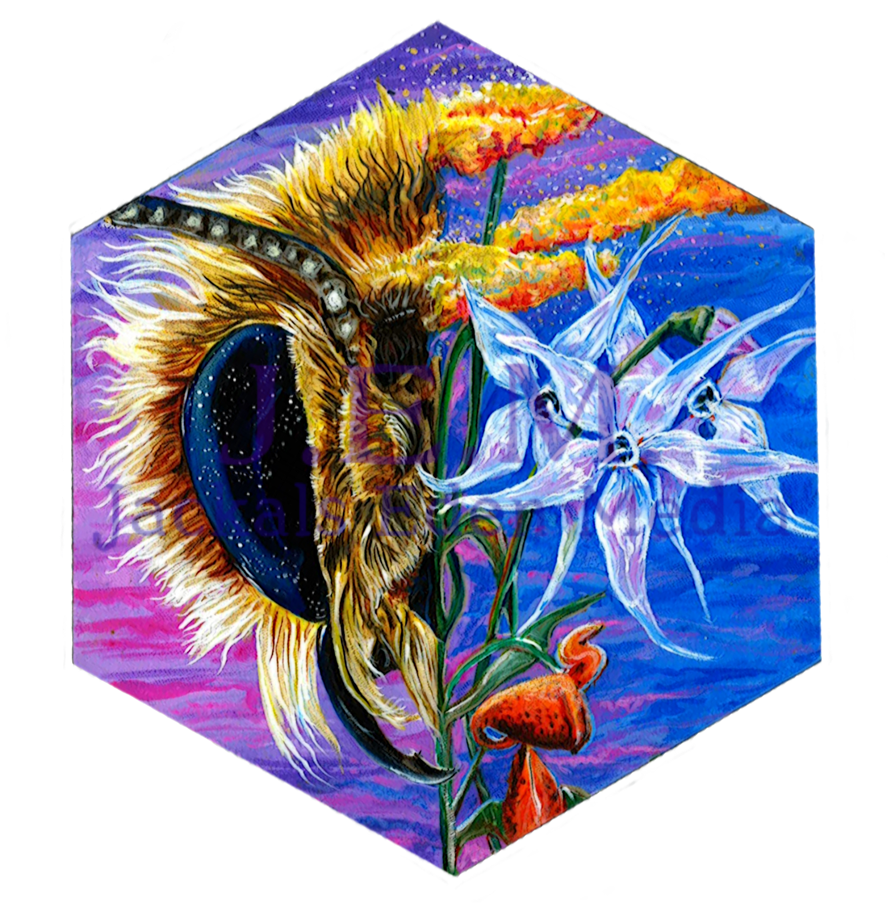 Moon Rise — J.E.M. Of the Arts